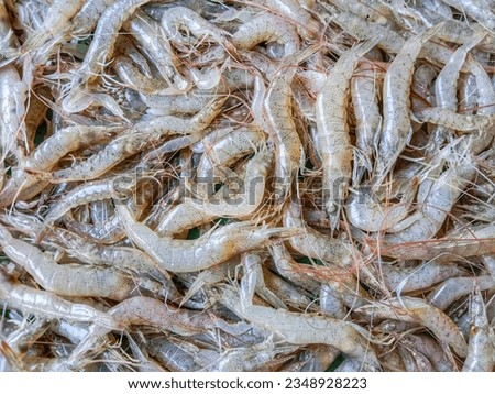 Shrimp. Fresh raw shrimps at the market for sell. Heap of prawns with top view. Shrimp pattern, prawn texture. Royalty-Free Stock Photo #2348928223