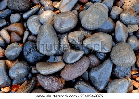 Beach rocks when exposed to sea water, picture taken during the day on the south coast of Lembata island, East Nusa Tenggara