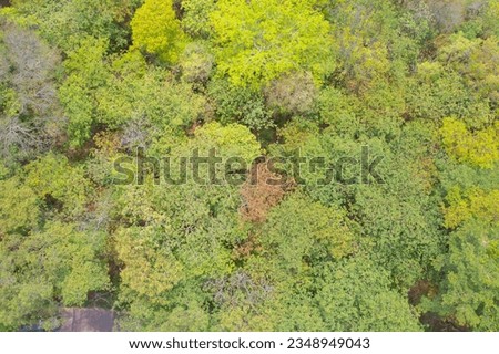 Aerial top view of lush green trees from above in tropical forest in national park in summer season. Natural landscape. Pattern texture background.