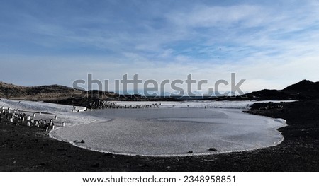 Adele pond outside, Shackleton's hut; Ross Island, Antarctica; 
