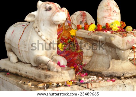 Idol worship in India.