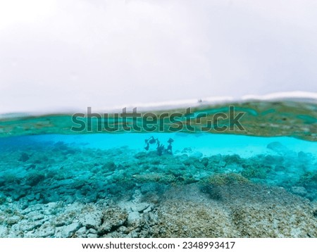 Beautiful Coral Reefs and White Sand Beach, Gahi Island, Zamami Island, Kerama Islands, Okinawa,
