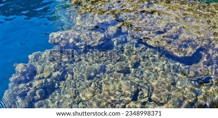 View of coral reefs on Morella beach, Maluku, Indonesia