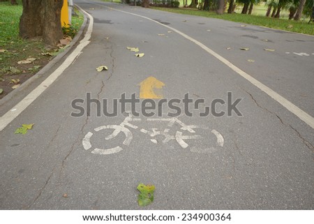 Close up of cycle lane in the road