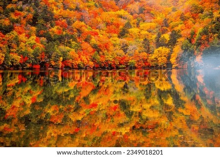 Autumn leaves, Lake Chuzenji (Lake Chuzenji), a very beautiful lake in the middle of the valley Nikko National Park