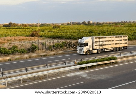 Animal transporter truck driving on a highway. Semi-trailer truck with farm animals in trailer on motorway. Livestock transportation logistics. Livestock truck farm animal transportation. Royalty-Free Stock Photo #2349020313