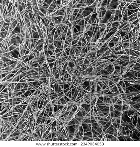 microscopic picture of felt fabric