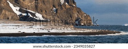 Adele penguin colony, mostly empty now, by late February; Cape Adare, Antarctica; Adélie penguins, on the skyline; Adélie penguins silhouetted, against bright iceberg; Cape Adare, Antarctica Bay