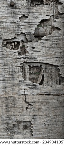 Photo of the rough surface of weathered plywood.