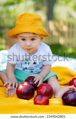 A baby sitting on a blanket with apples