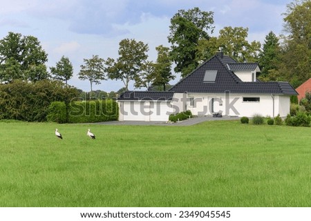 two storks stand on a green lawn next to a private house in Germany