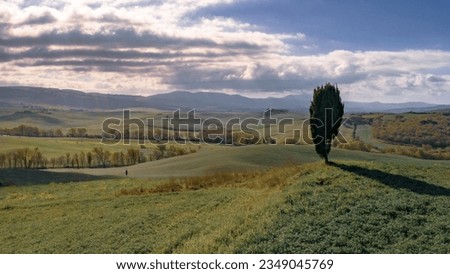 Lonely Cypress tree on hilltop in Val d'Orcia Tuscany, Italy, April. Royalty-Free Stock Photo #2349045769
