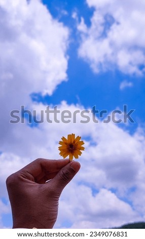 selective focus picture of a hand holding a beautiful yellow flower 