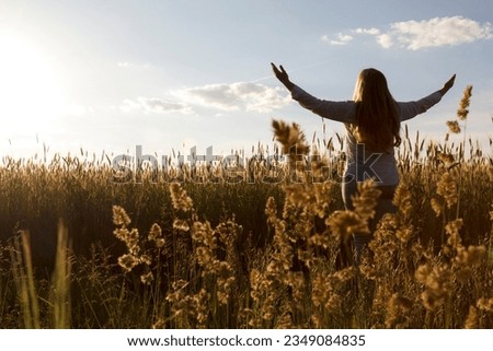 Back view of blonde woman who stands toward the sunset in a wheat field with raised hands