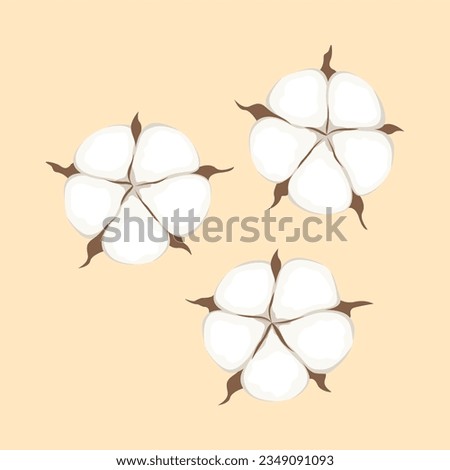 Isolated autumn cotton flowers illustration. Image for printing stickers, as an element of postcards, banners and illustrations. Autumn mood concept.