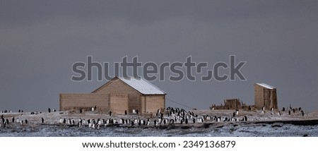 Borchgrevink's, hut among, the Adele penguin colony; Cape Adare, Antarctica