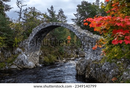 Stone arch bridge over the autumn river. Arched bridge in autumn forest. Autumn arched bridge. Arched bridge in autumn Royalty-Free Stock Photo #2349140799
