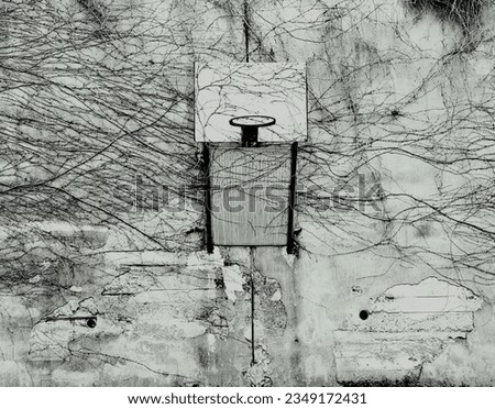 Basketball hoop in an abandoned field covered with natural elements