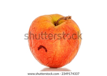 One withered apple, macro, isolated on white background. Royalty-Free Stock Photo #2349174337