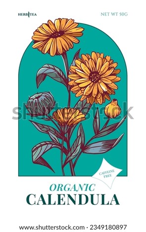 Calendula herbal tea. Hand drawn herbal plants. Sketch vector illustration. Labels and package design Royalty-Free Stock Photo #2349180897