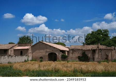 Cultivated fields near Voghera, Pavia province, Lombardy, Italy, at June