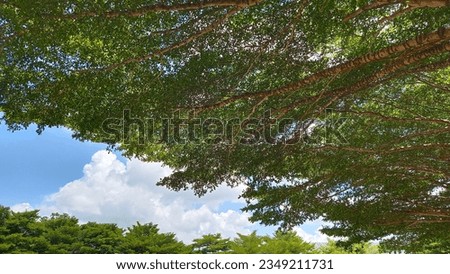 High angle view sky clouds trees nature background illustration screen saver eye resting abstract image blue image