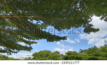 High angle view sky clouds trees nature background illustration screen saver eye resting abstract image blue image
