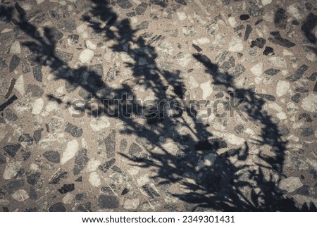 On it, the wall tiles and the silhouette of a shadowy branch. Soft selective focus.