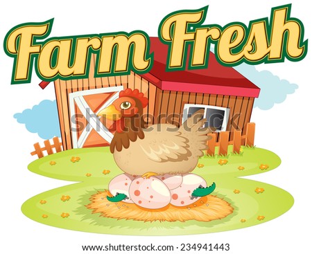 A farm fresh template showing a hen laying eggs on a white background