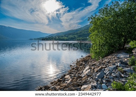 Fjord coast with trees and rocks. Blue sky with white clouds.