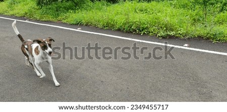 Natural green road site and road photo with landscape or road turning site or road safety  