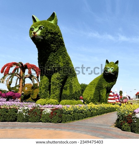 Dubai Miracle Garden is  world's largest natural flower garden,  150 million flowers of different varieties and is the top tourist, unique display and extravagant outdoor recreational destination Royalty-Free Stock Photo #2349475403