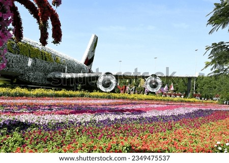 Dubai Miracle Garden is  world's largest natural flower garden,  150 million flowers of different varieties and is the top tourist, unique display and extravagant outdoor recreational destination