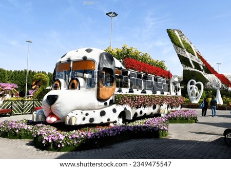 Dubai Miracle Garden is  world's largest natural flower garden,  150 million flowers of different varieties and is the top tourist, unique display and extravagant outdoor recreational destination Royalty-Free Stock Photo #2349475547