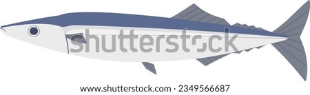 Illustration of saury drawn in vector