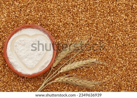 Flour in a clay bowl, dry ears of wheat, on a wheat background, wheat, free space, place for text, top view, background
