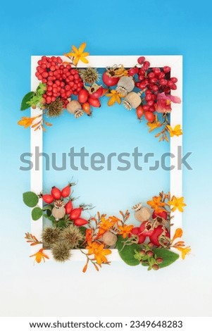 Autumn Thanksgiving Fall abundant nature background concept with berry fruit, flowers, nuts with white frame on gradient blue. Festive floral design for label, card, invitation, menu.