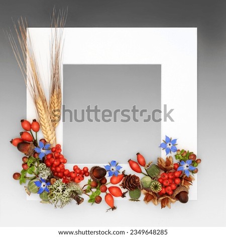 Floral Autumn Fall Thanksgiving Day nature background border with flowers, berry fruit, nuts, with white frame on white on gradient gray Vivid seasonal design for card, invitation, label.