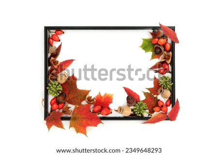 Autumn Fall and Thanksgiving harvest festival background nature border with nuts, berry fruit seed heads. On white background. Vivid design for card, label, gift tag. 