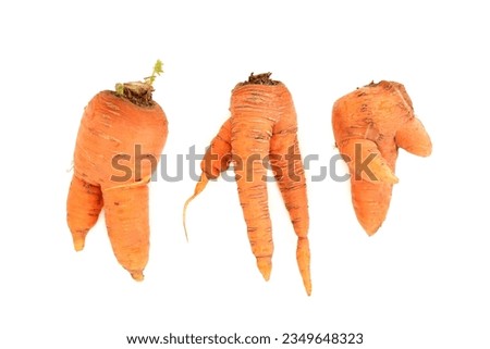 Twisted deformed and misshapen carrots. Organic imperfect examples on white background. Royalty-Free Stock Photo #2349648323