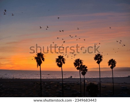 Photo of a mesmerizing sunset over a beautiful beach with a flock of birds gracefully soaring through the vibrant sky