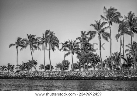 Rocky Beach with Coconut Palm Trees on the Ocean Shore in Hawaii.