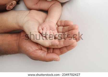 Three palms of a happy family. Small hand of a newborn with tiny fingers, head and ear of a newborn. The palm of parents, father and mother holds the handle of a newborn. studio macro photography