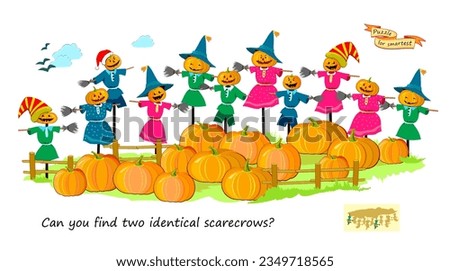 Logic puzzle for children and adults. Can you find two identical scarecrows? Page for kids brain teaser book. Task for attentiveness.  IQ test. Play online. Vector cartoon illustration.
