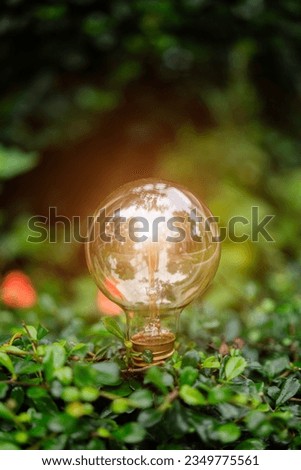 light bulb on light bulb on gray grass at outdoor with green nature background light bokeh.- Image