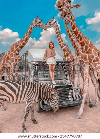 A zoo where you can take pictures with animals such as giraffes.