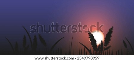 Sunset with grass silhouette. Landscape background. vector