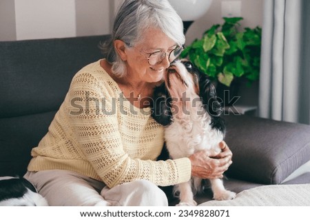 Senior woman exchange cuddles with her cavalier king Charles dog sitting together on home sofa. Pet therapy and best friend concept Royalty-Free Stock Photo #2349828071