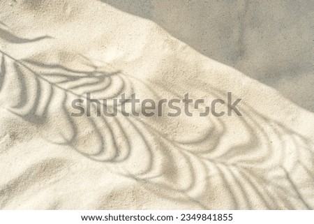 Abstract shadows of tropical leaves leave shadows on the texture of the sand. Abstract texture trendy beige background, nature concept