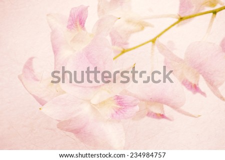 Sweet orchids on mulberry paper texture          